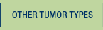 Other Tumor Types